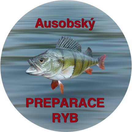 Preparace ryb Onřej Ausobský