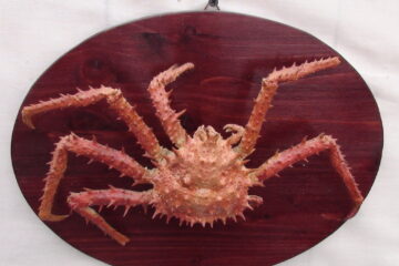 Krab a rak