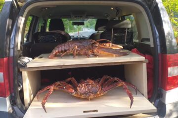 Humr a krab